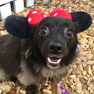 Kristina & Kyle McClurg